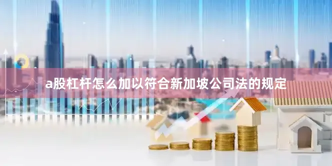 a股杠杆怎么加以符合新加坡公司法的规定